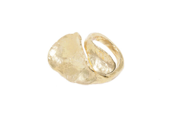 Anillo – Colección Naturaleza ORO