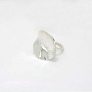 Anillo – Colección Naturaleza