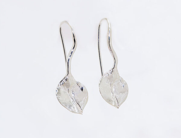 Pendientes - Naturaleza